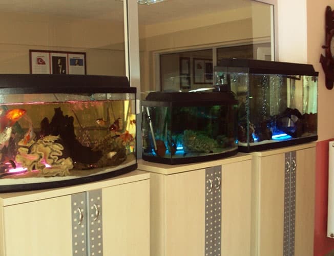 Kağızman Özel Evim Kız Öğrenci Yurdu